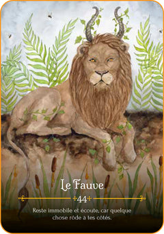 Les saisons de la sorcière - Oracle de Beltane