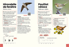 Reconnaître & retenir les chants d'oiseaux - La méthode en 5 étapes - 85 espèces et 180 chants
