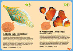 Guide des poissons du monde