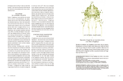 Le tarot des plantes sauvages