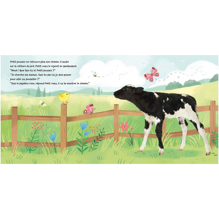 Petit poussin cherche sa maman