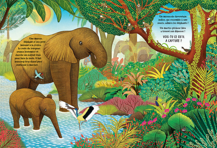 Dans la jungle secrète