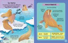 Je construis mes animaux marins en 3D