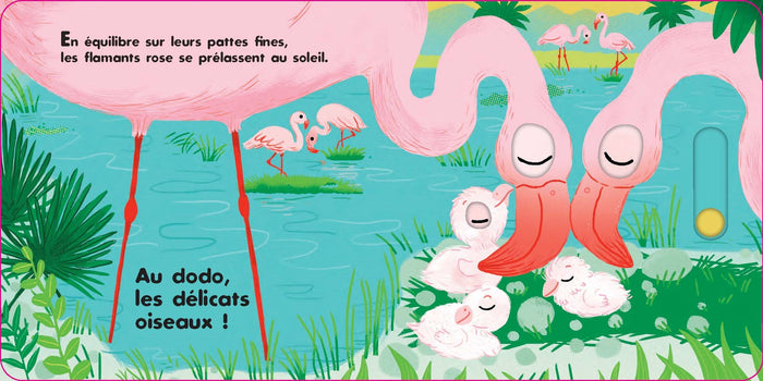 Au dodo - Les animaux sauvages