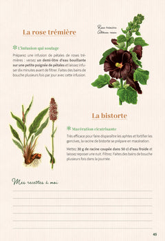 Mon cahier de tisanes