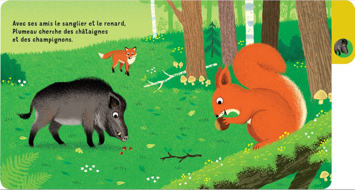 Une journée en forêt