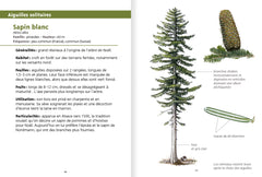 Les petits livres de la nature - Arbres