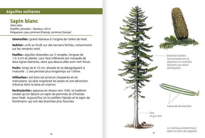Les petits livres de la nature - Arbres