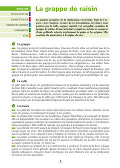 Les vins de France et du monde