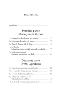 Tout est Dieu - Les sources non-duelles du judaïsme