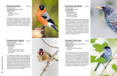 Créer un beau jardin-refuge pour les oiseaux