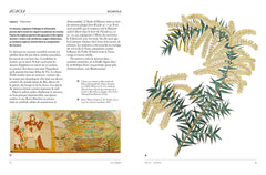 Le fabuleux langage des plantes - Art, nature & symbolisme