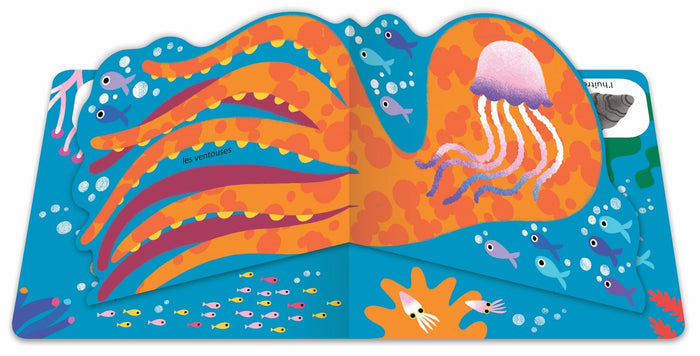 Mon imagier Pop-up les animaux de la mer