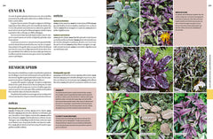 Encyclopédie des plantes d'intérieur
