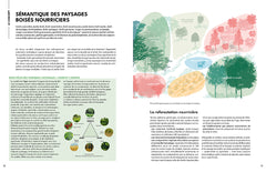 La forêt gourmande - Concevoir son jardin-forêt - 20 projets inspirants de 10 m2 à 10 ha