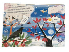 Petit flocon cherche un ami