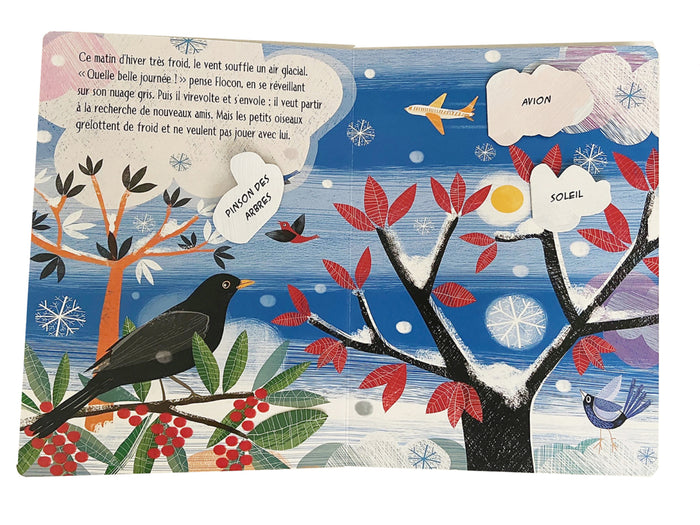 Petit flocon cherche un ami