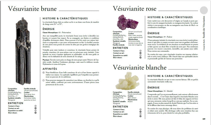 La grande encyclopédie des minéraux et des pierres de soin