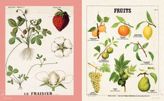 Leçons de choses & autres curiosités naturelles