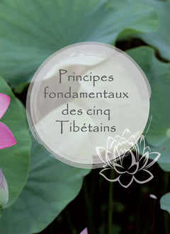 Le pouvoir des 5 tibétains