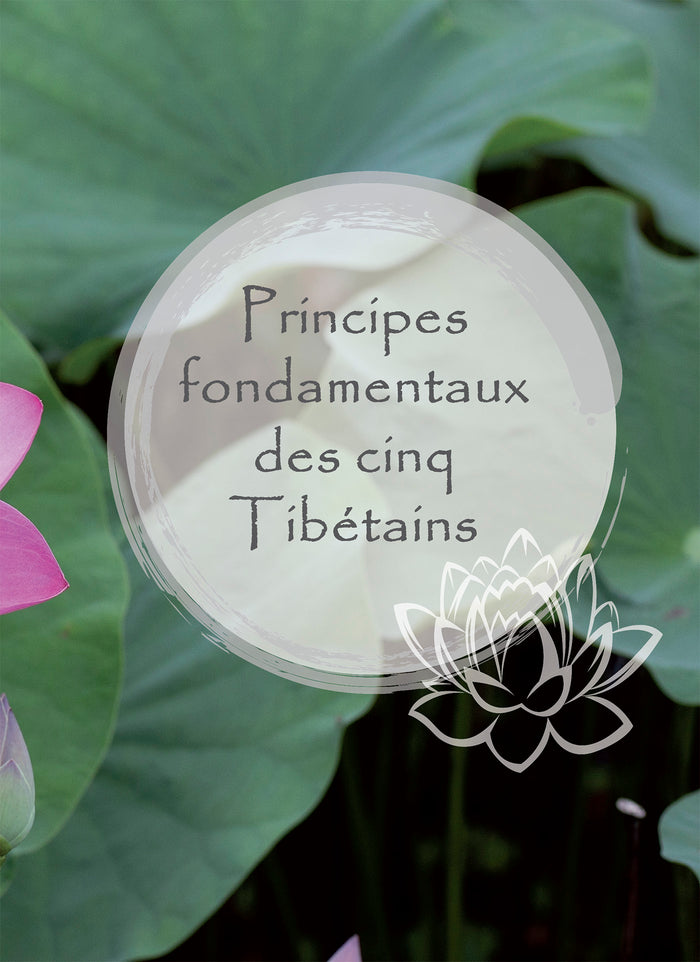 Le pouvoir des 5 tibétains