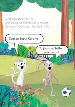 Petit détective -Le secret de la grotte - Niveau 3