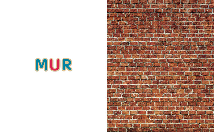 Mon imagier - 75 mots à lire dès 3 ans