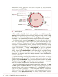 Concours Assistant médico-administratif - Catégorie B - 2024-2025