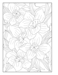 Tahiti - 100 dessins à colorier