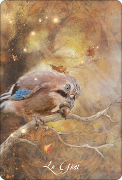L'Oracle des Oiseaux messagers