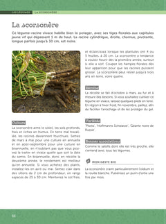 Débuter un potager et un verger