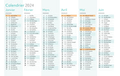 Semainier 2024 - Plages et cocotiers