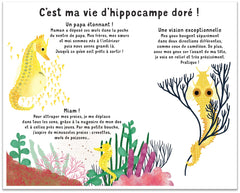 Qui suis-je ? Les animaux des mers