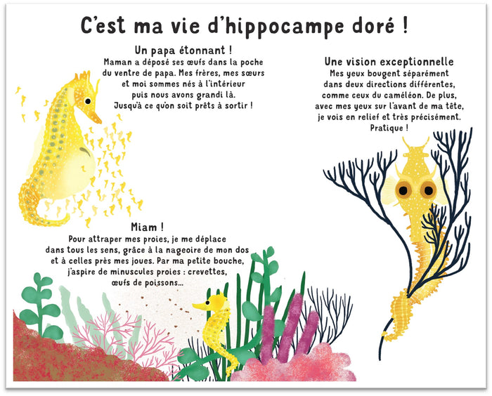 Qui suis-je ? Les animaux des mers