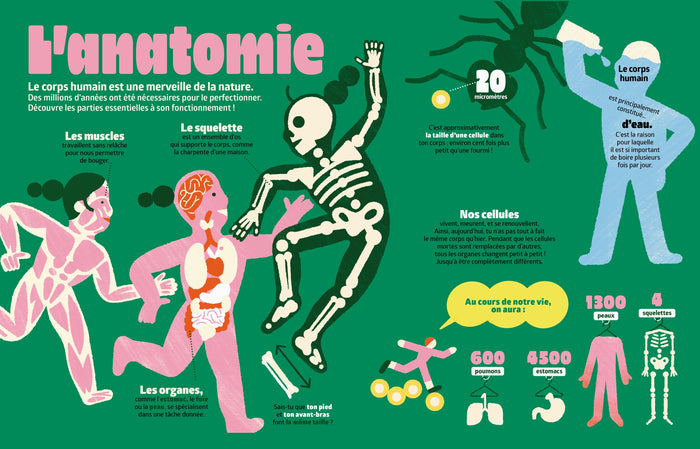 Le corps humain - Tout ce que tu ne sais pas encore