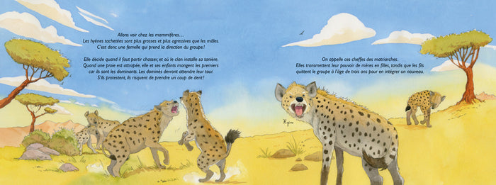 Fortes et flamboyantes ! - Les Femelles dans le monde animal