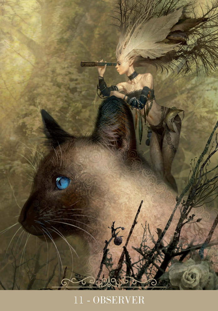 Coffret Oracle des chats fantasy