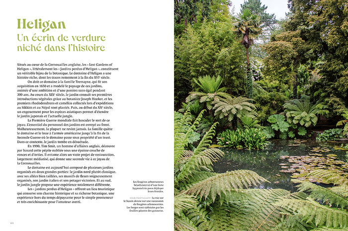 Jardin jungle - Inspirations et plantes adaptées à nos climats