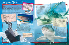Les requins