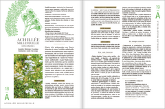 Le guide des plantes sauvages