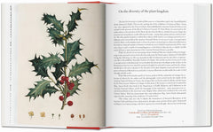 A Garden Eden. Masterpieces of Botanical Illustration