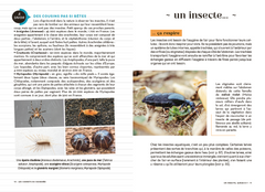 Les carnets du scarabée - Insectes