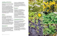 Les plantes bio-indicatrices et autres indicateurs pour comprendre son jardin