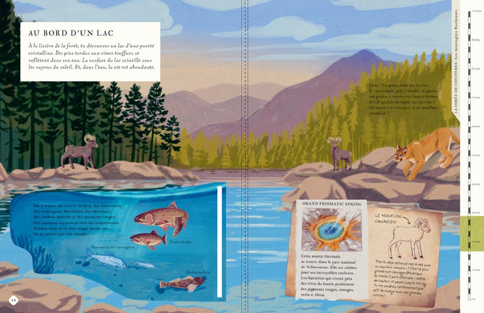 Il y a une montagne dans ce livre