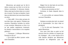 AGENCE MOUSTACHES, DETECTIVES PRIVES - Tome 02 L'ENLEVEMENT DE CHAMANTHA