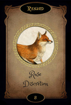 Coffret L'oracle le cercle des sorcières