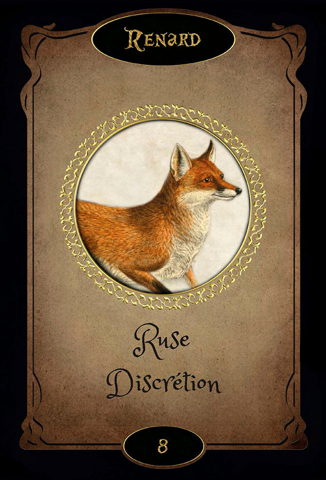 Coffret L'oracle le cercle des sorcières