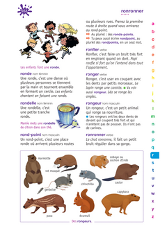 Dictionnaire Le Robert Benjamin