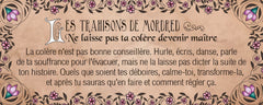 Le petit oracle de Merlin l'enchanteur
