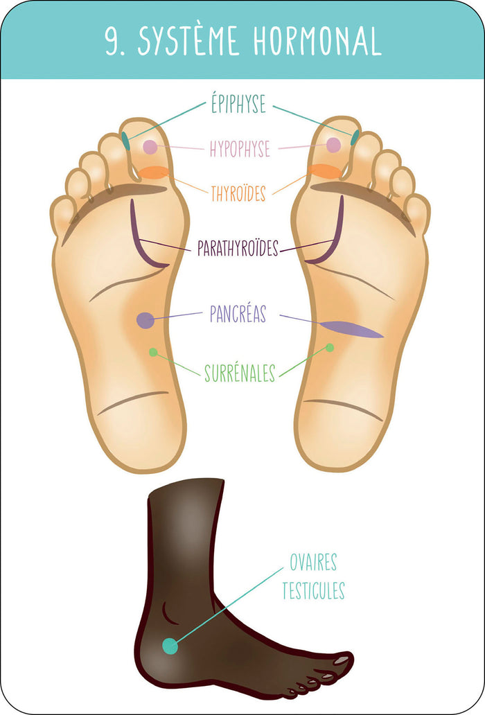Je pratique la réflexologie plantaire